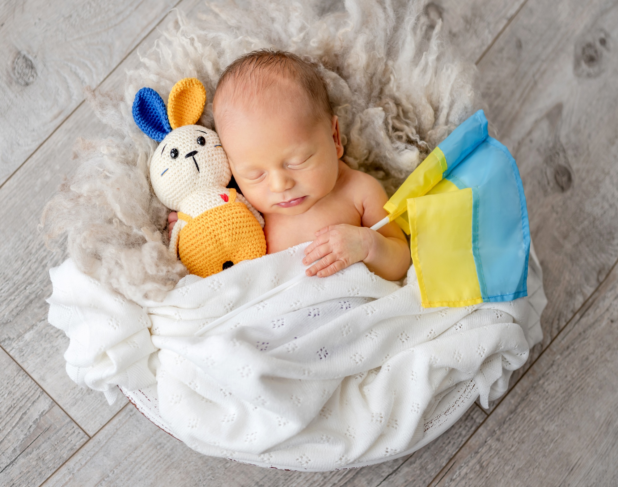 Newborn baby portrait
